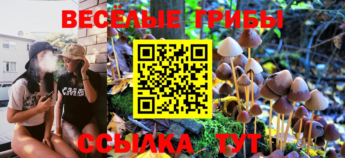 Галлюциногенные грибы MAGIC MUSHROOMS  Вход с VPN  Узловая 