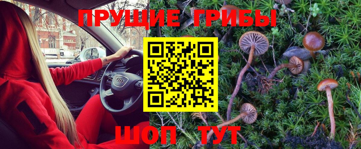 Псилоцибиновые грибы Magic Shrooms Узловая